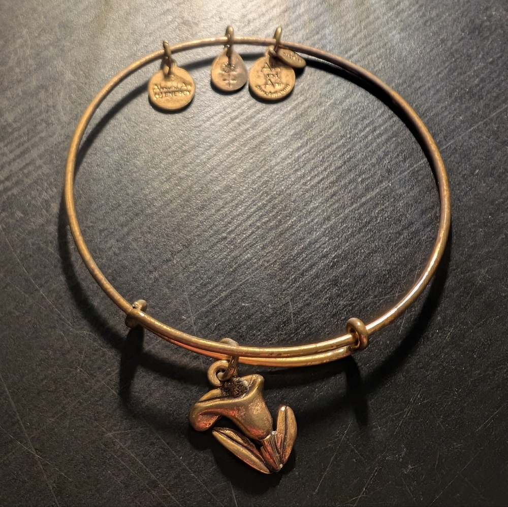 Alex and Ani Sacred Garden Calla Lily Bangle Gold Finish Retired - Picture 3 of 7
